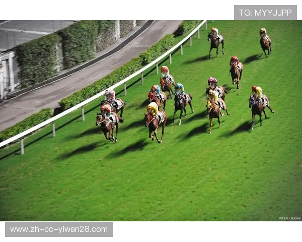 绿茵激情时刻聚焦球星闪耀赛场点燃全场热烈氛围